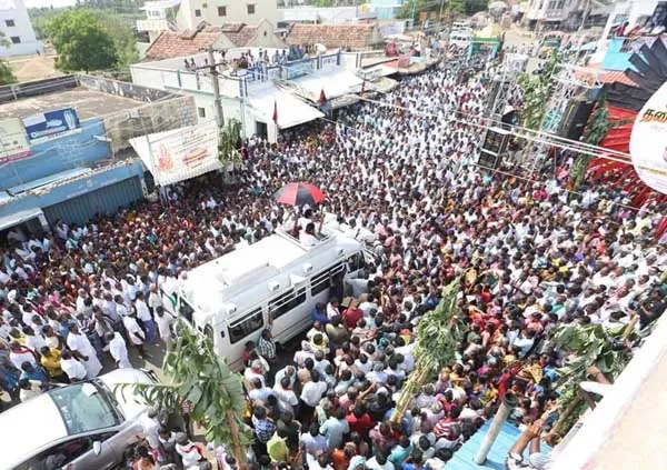 dmk campaign